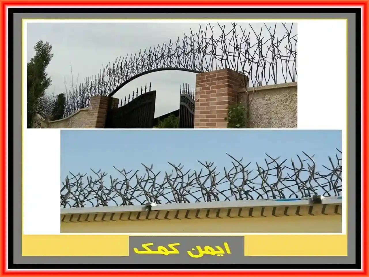 نصب حفاظ بوته خار نصب حفاظ بوته خار