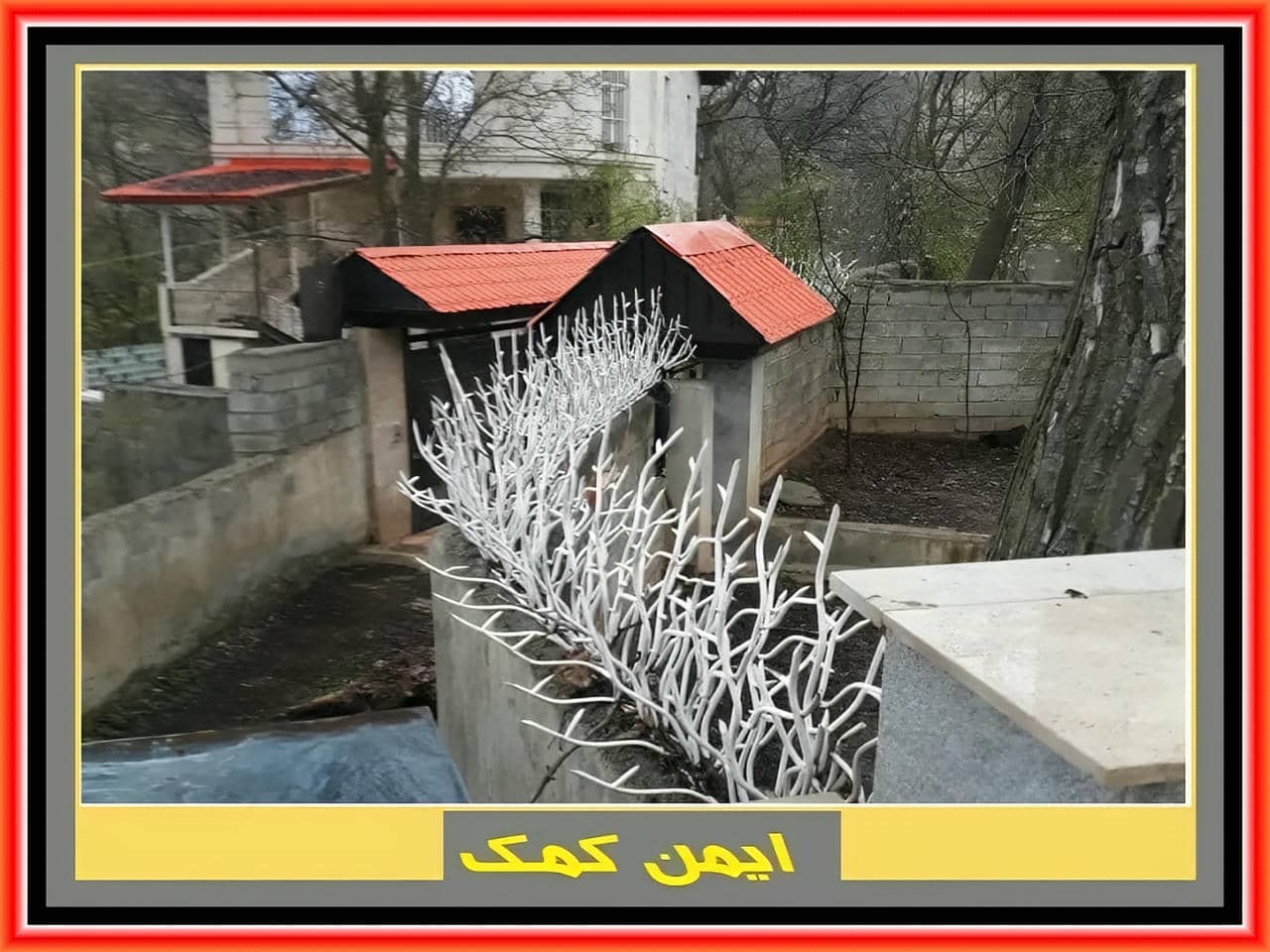 خرید و بررسی حفاظ بوته ای