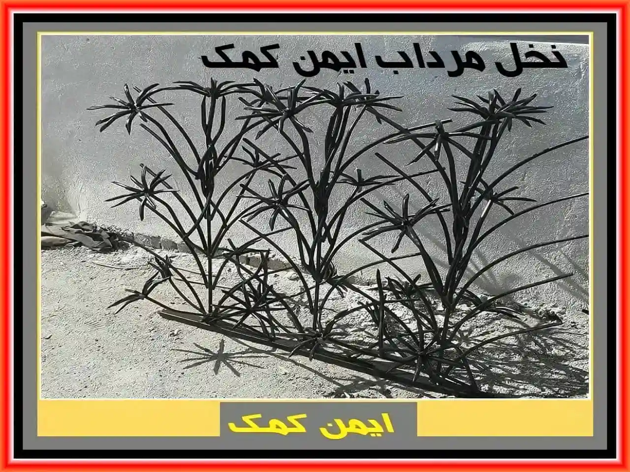 حفاظ نخل مرداب حفاظ نخل مرداب