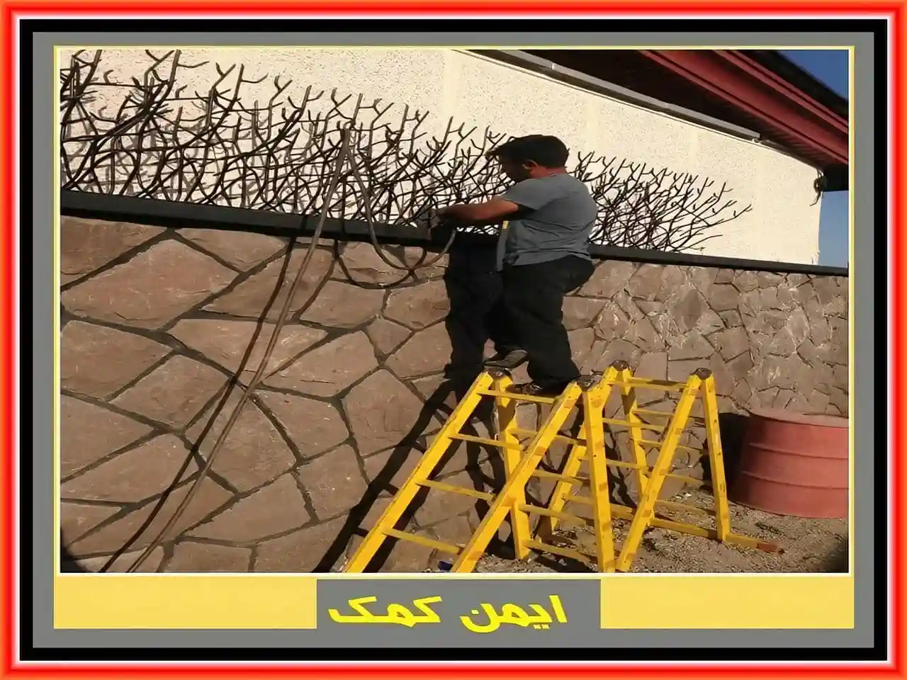 خرید و بررسی حفاظ شاخ گوزنی