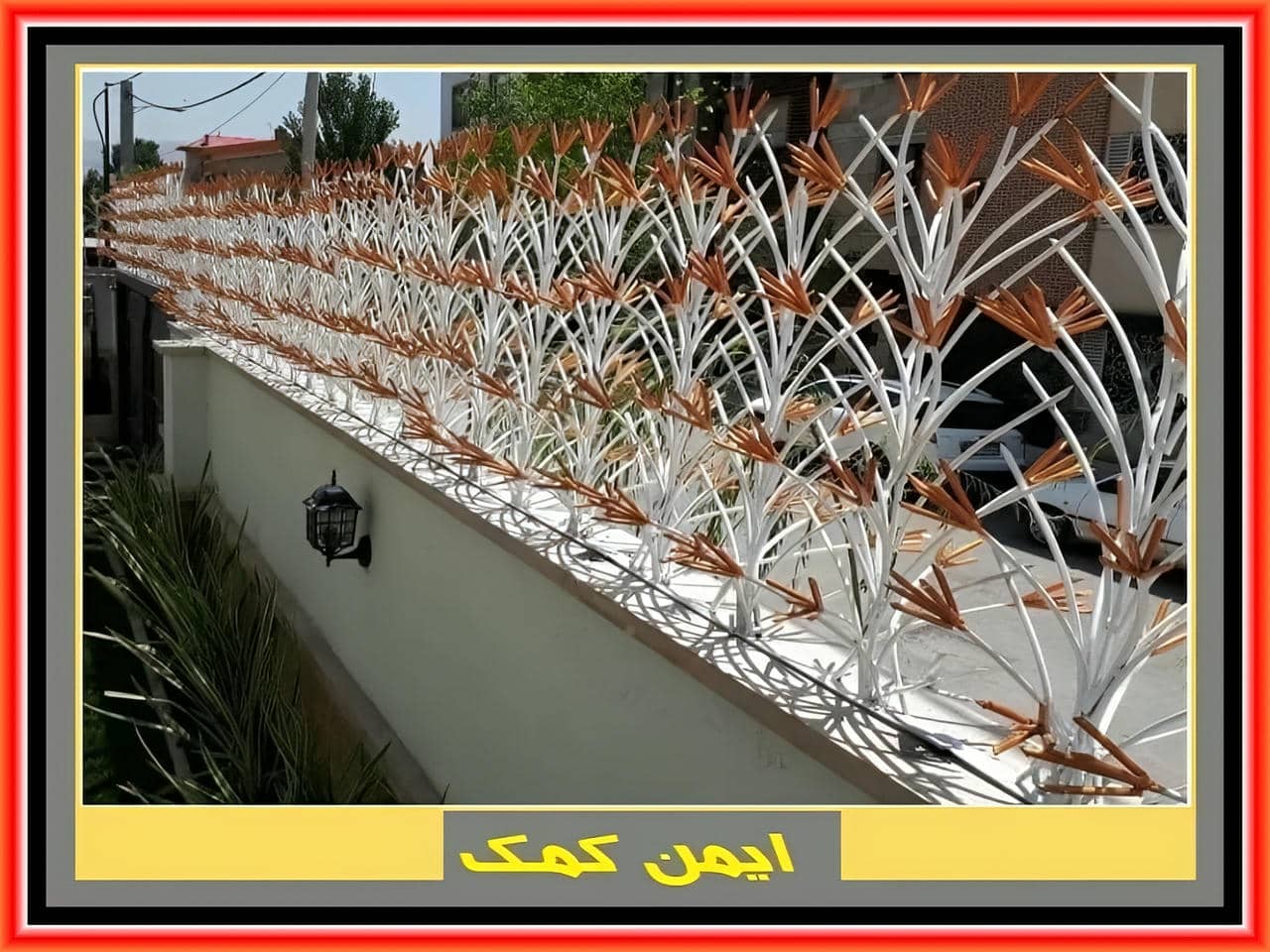 خرید و بررسی حفاظ لیلیوم