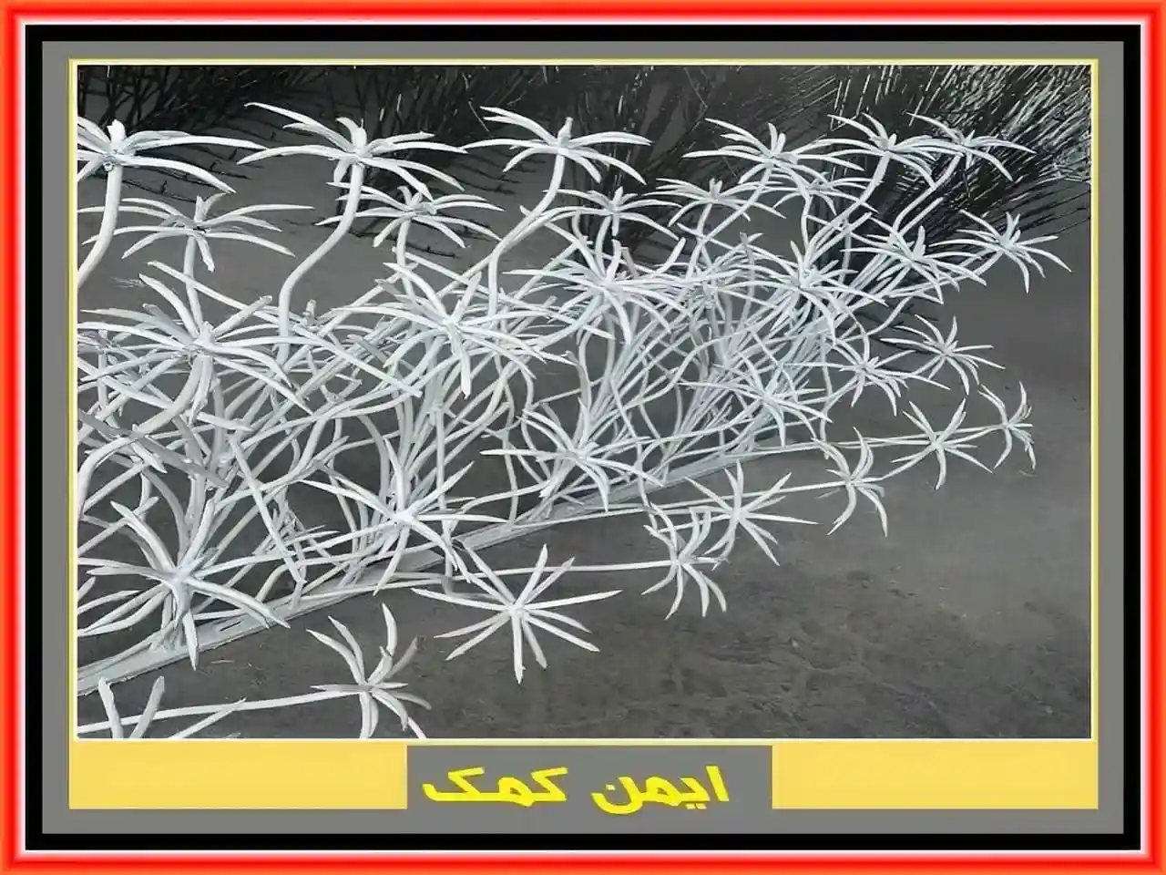 مزایا و معایب حفاظ نخل مرداب