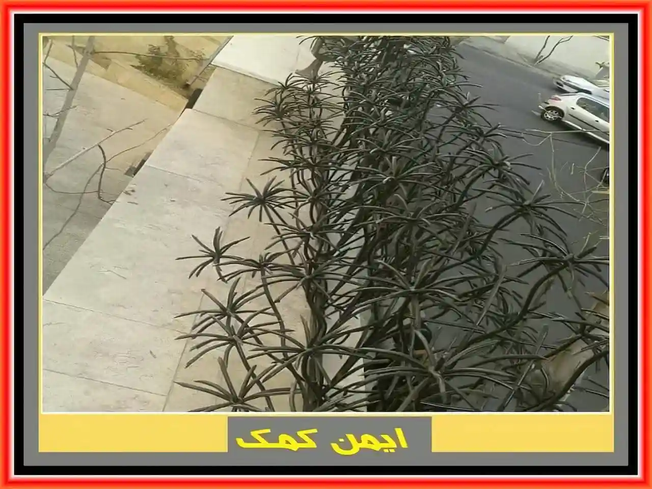 حفاظ دیوار