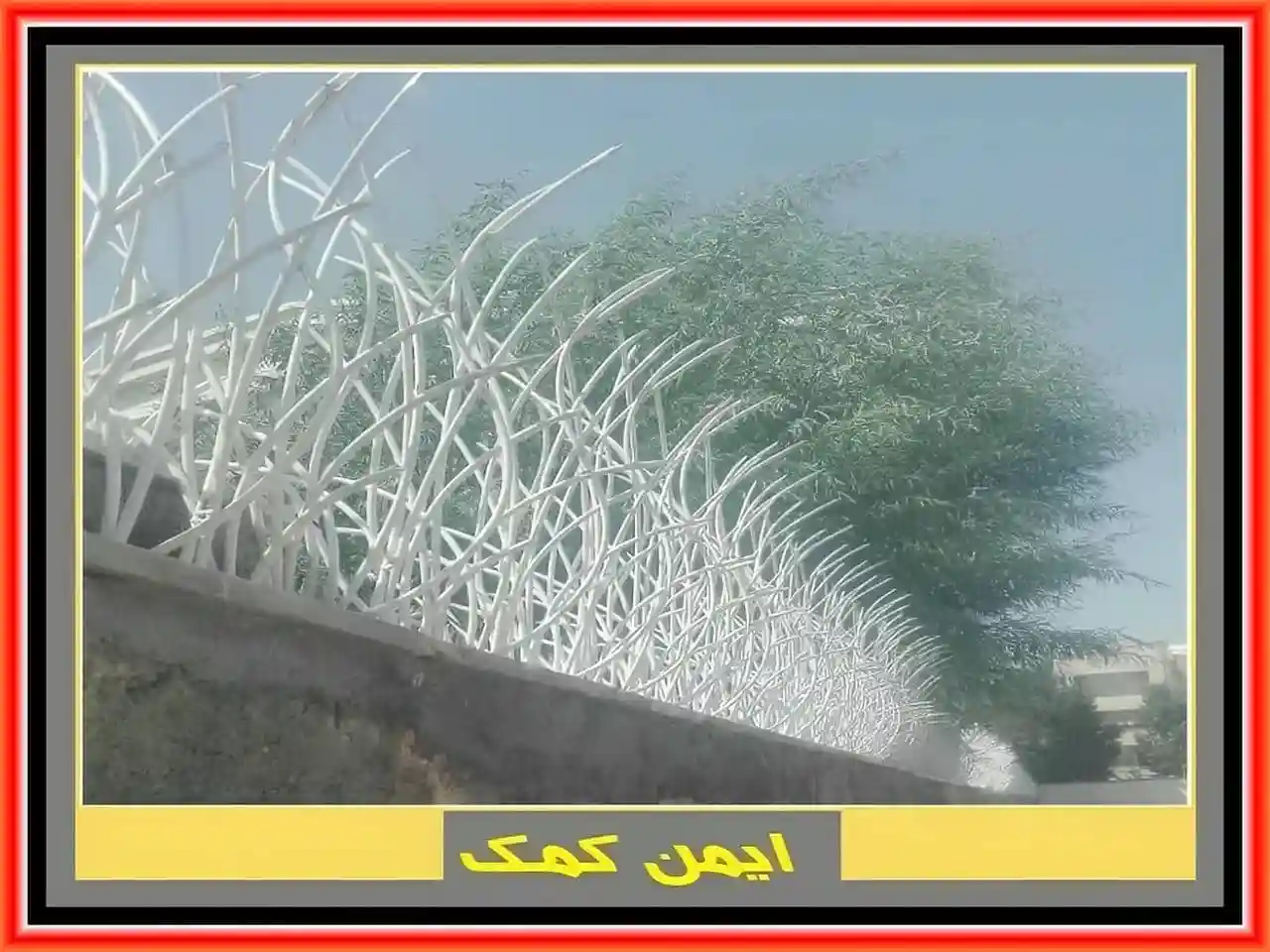 خرید و بررسی حفاظ نیزار