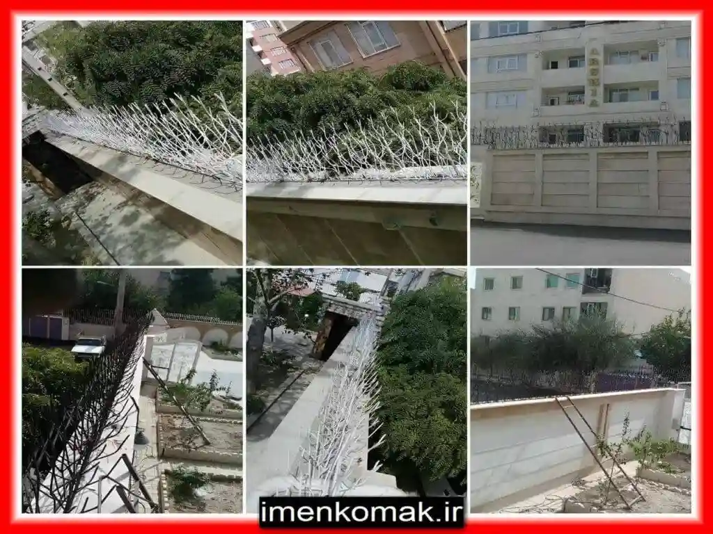 حفاظ شاخ گوزنی: امنیتی مطمئن برای خانه شما حفاظ شاخ گوزنی: امنیتی مطمئن برای خانه شما