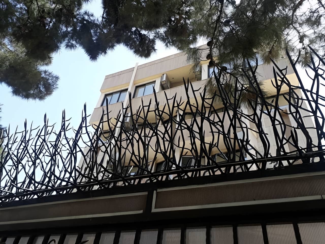 حفاظ شاخ گوزنی | ایمن کمک حفاظ شاخ گوزنی