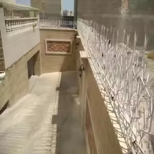 حفاظ شاخ گوزنی تراکم 34 حفاظ شاخ گوزنی تراکم 34