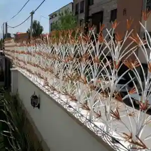 حفاظ لیلیوم حفاظ لیلیوم