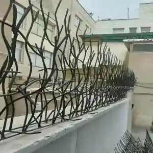 عکس مدل های متنوع حفاظ شاخ گوزنی عکس مدل های متنوع حفاظ شاخ گوزنی