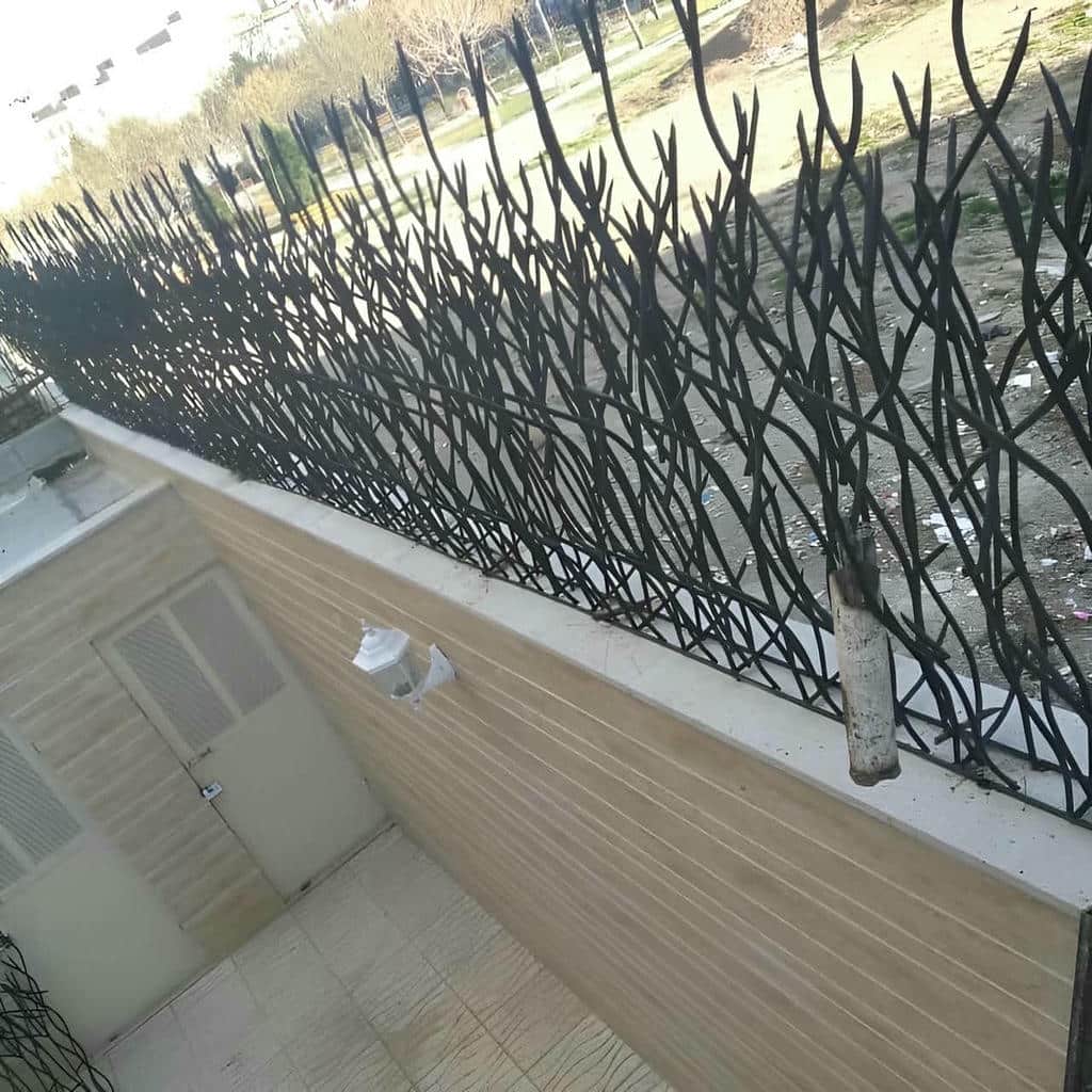 خرید حفاظ شاخ گوزنی شاخه‌های تیز در کیش