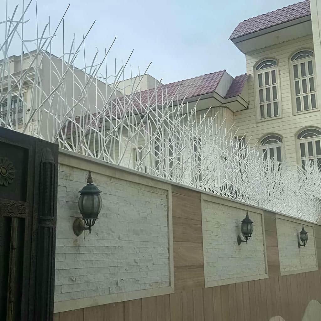 قیمت حفاظ شاخ گوزنی دیوار حیاط در باغ عباس‌آباد