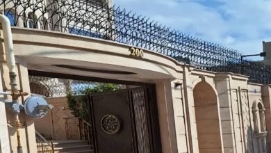 حفاظ شاخ گوزنی در ملارد
