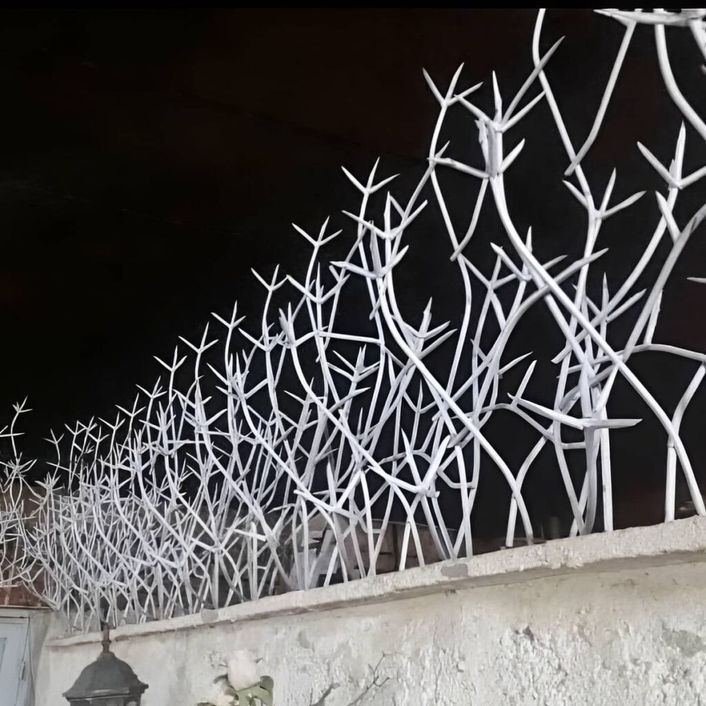 قیمت حفاظ شاخ گوزنی شاخه‌های تیز در یاسوج