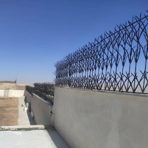 حفاظ شاخ گوزنی در گرگان