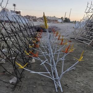 حفاظ شاخ گوزنی در بابل