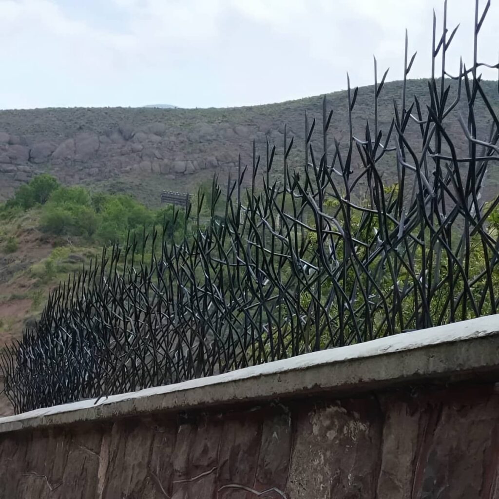 خرید حفاظ شاخ گوزنی تراکم بالا در بندر انزلی