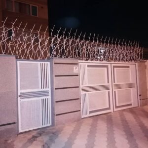 حفاظ شاخ گوزنی در خرم آباد