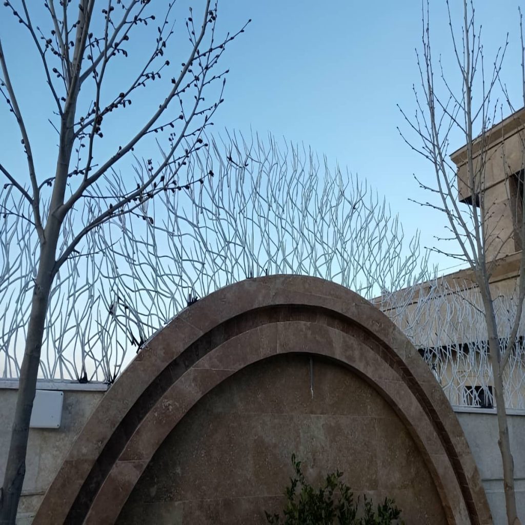 حفاظ شاخ گوزنی در رشت