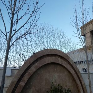 حفاظ شاخ گوزنی در رشت