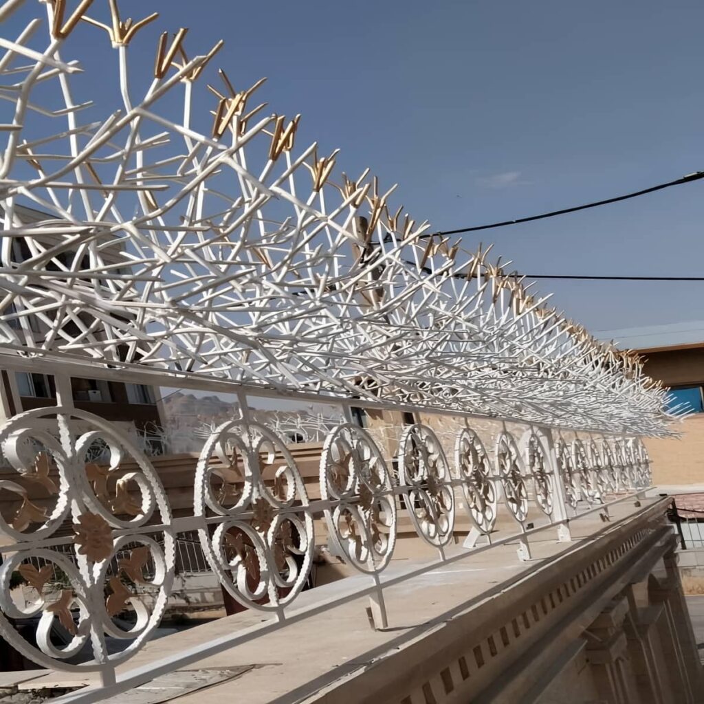 حفاظ شاخ گوزنی در سیرجان