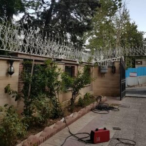 حفاظ شاخ گوزنی در قم
