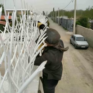 حفاظ شاخ گوزنی در عظیمیه کرج
