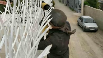 حفاظ شاخ گوزنی در عظیمیه کرج