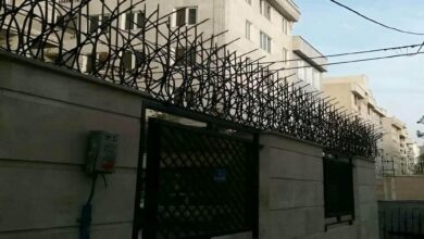 حفاظ شاخ گوزنی در قائمشهر