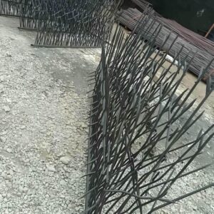حفاظ شاخ گوزنی در سنندج