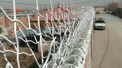 حفاظ شاخ گوزنی در باغ عباس‌آباد