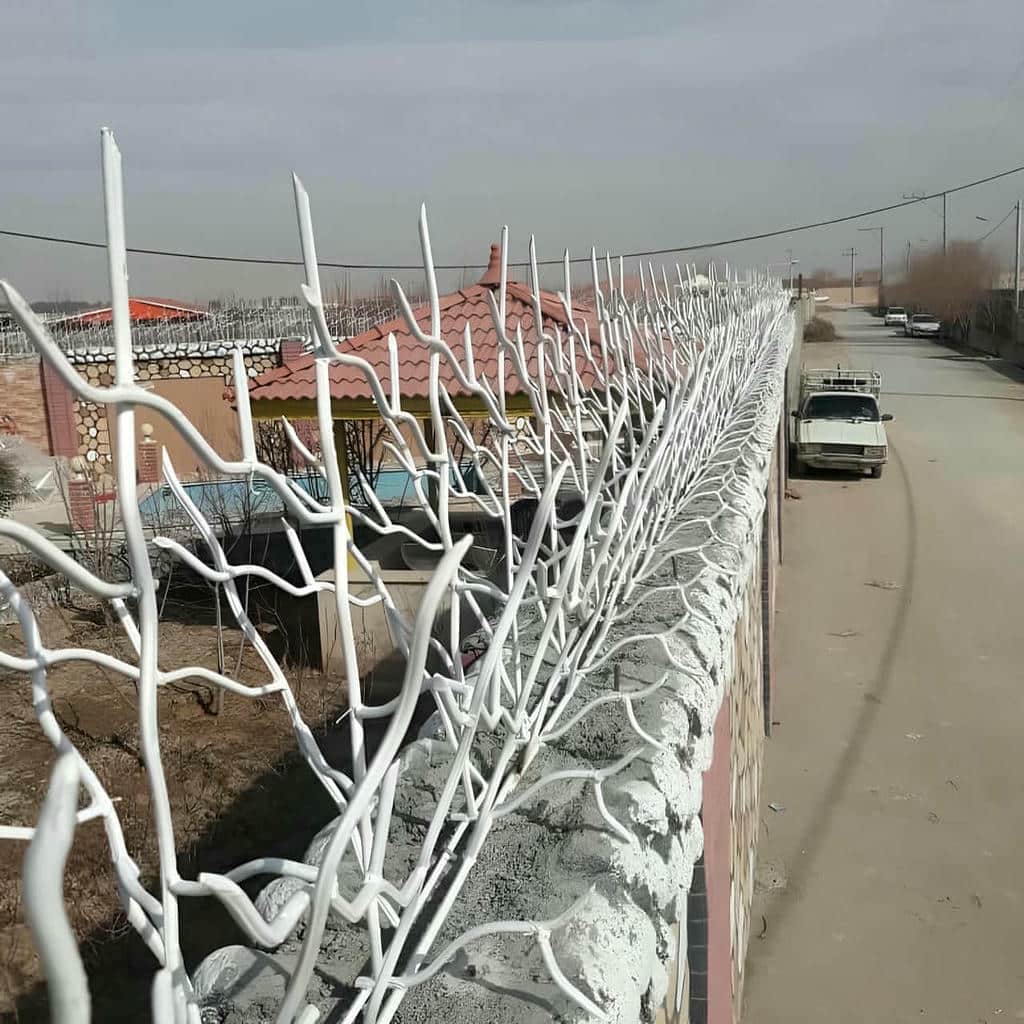حفاظ شاخ گوزنی در باغ عباس‌آباد