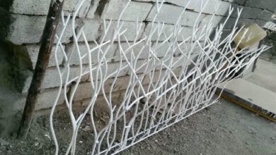 حفاظ شاخ گوزنی در ارومیه
