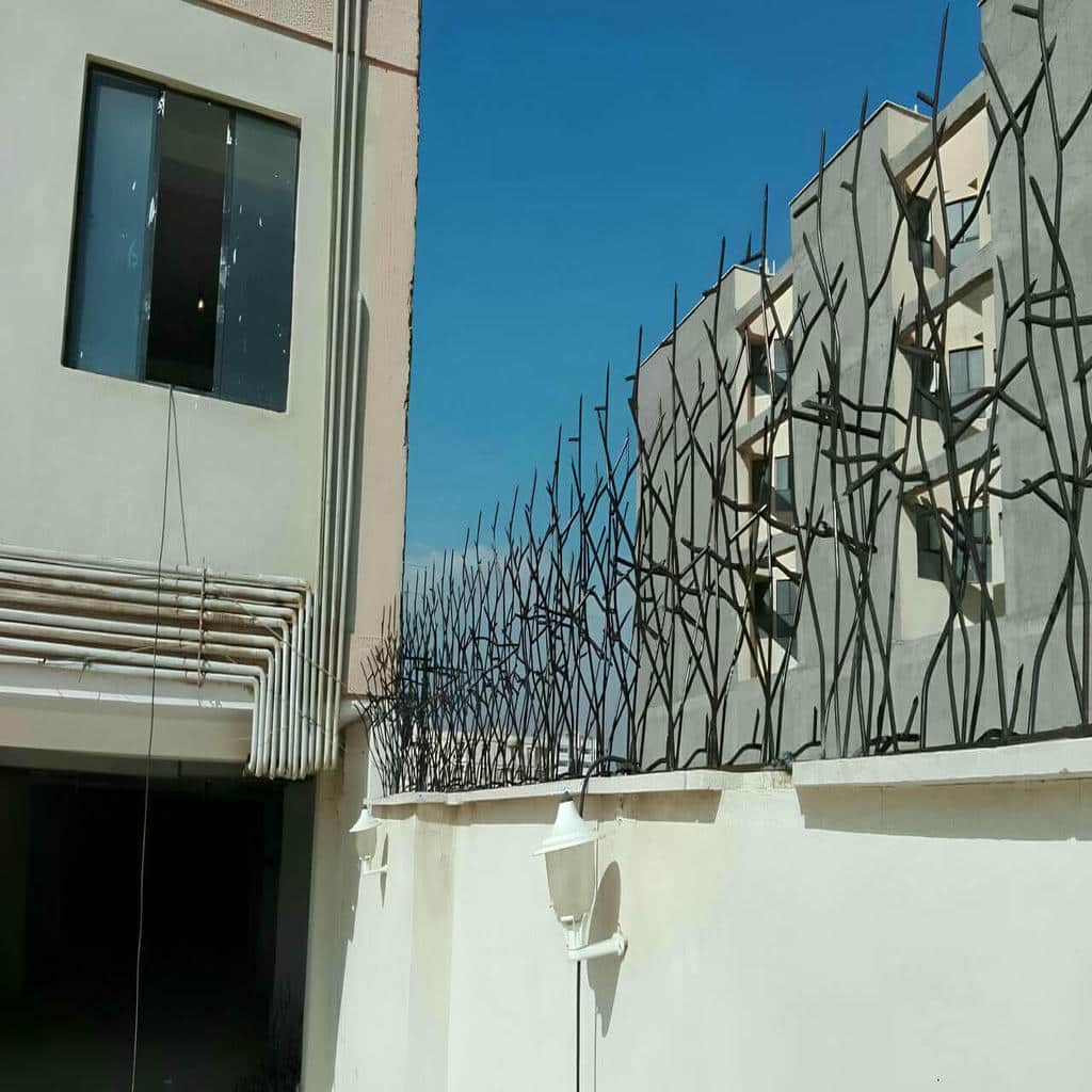 حفاظ شاخ گوزنی در رفسنجان