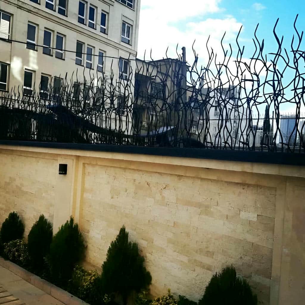 حفاظ شاخ گوزنی در بندرعباس