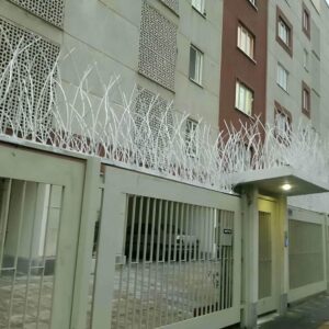 حفاظ شاخ گوزنی در ایلام