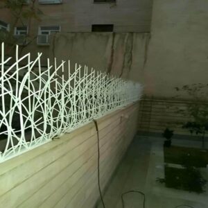 حفاظ شاخ گوزنی در تبریز