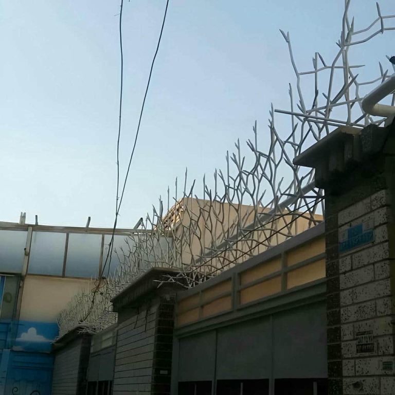 حفاظ شاخ گوزنی در اراک