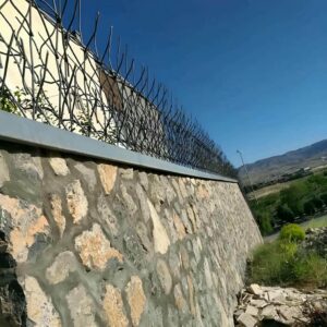 حفاظ شاخ گوزنی در اردبیل