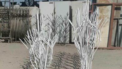 حفاظ شاخ گوزنی در همدان