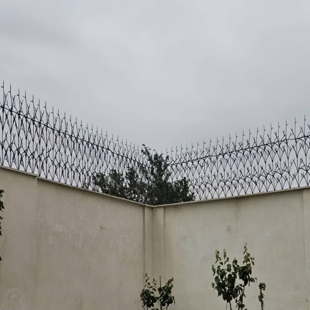 قیمت حفاظ شاخ گوزنی نمای کلاسیک در آبسرد