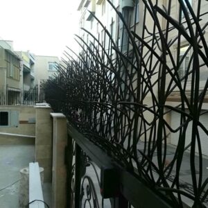 حفاظ شاخ گوزنی در بیرجند