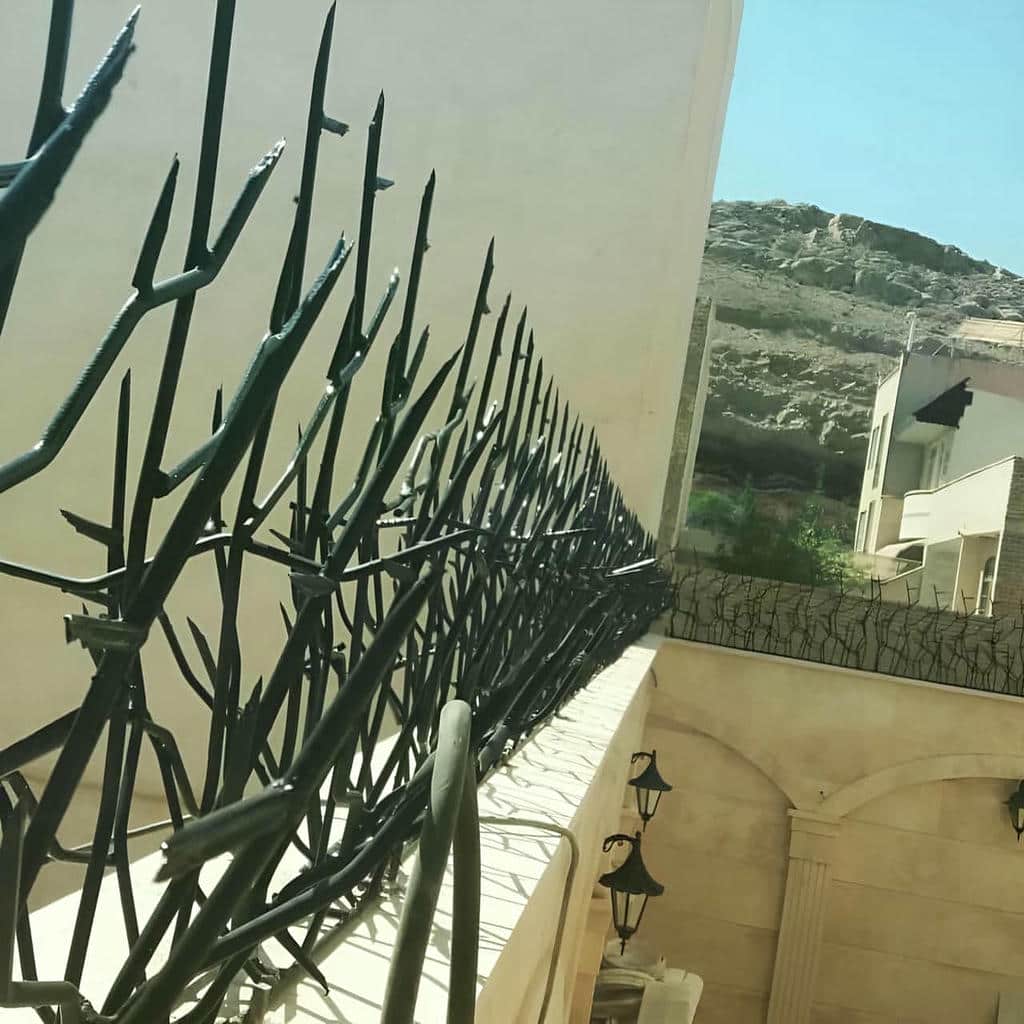 نصب حفاظ شاخ گوزنی ویلا باغ در کردان