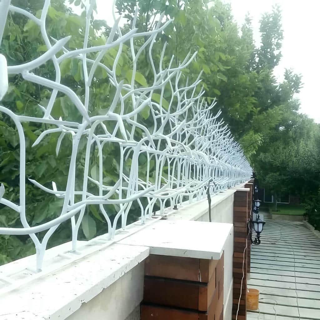 قیمت حفاظ شاخ گوزنی شاخه‌های تیز در همدان