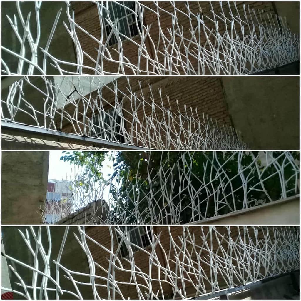 نصب حفاظ شاخ گوزنی خطوط منظم در آبسرد