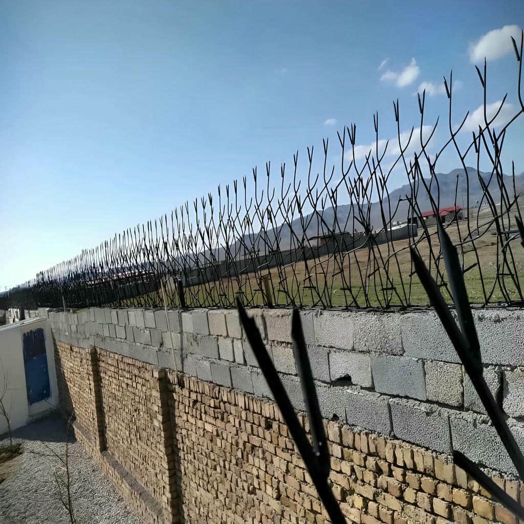 قیمت حفاظ شاخ گوزنی دیوار باغ در سمنان
