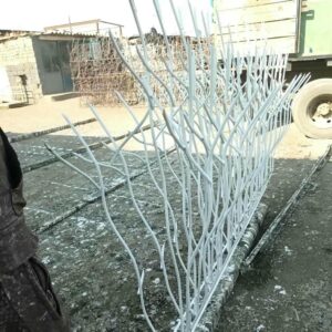حفاظ شاخ گوزنی در تهران