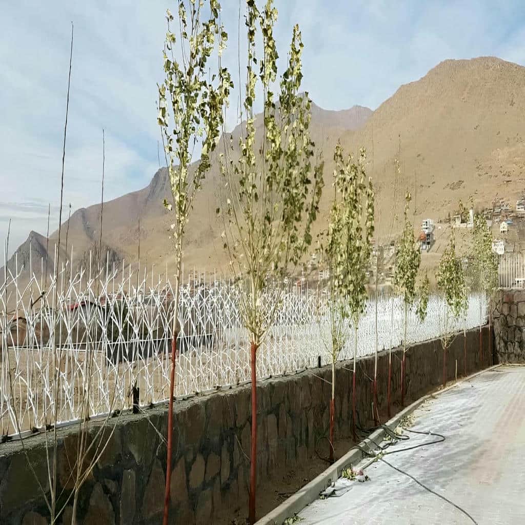 خرید حفاظ شاخ گوزنی رنگ ماندگار در بجنورد