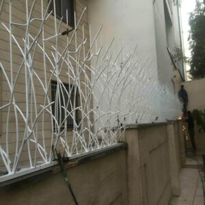حفاظ شاخ گوزنی در اهواز