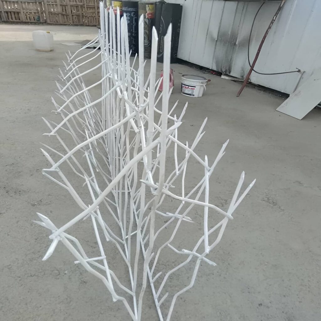 حفاظ شاخ گوزنی در کیش