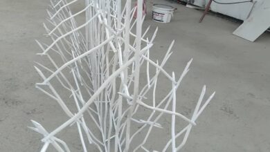 حفاظ شاخ گوزنی در کیش